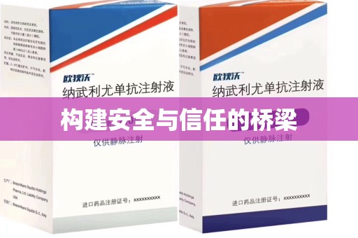 成都构建安全与信任的桥梁