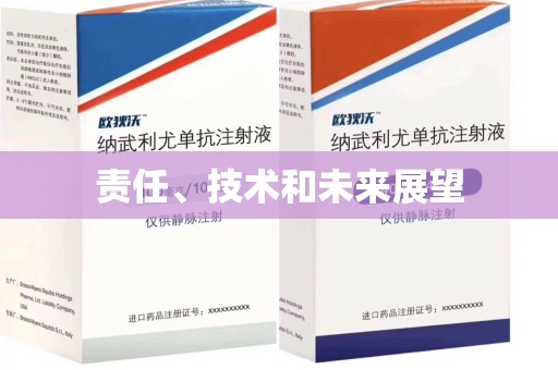 成都责任、技术和未来展望
