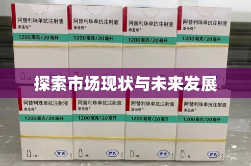 成都探索市场现状与未来发展