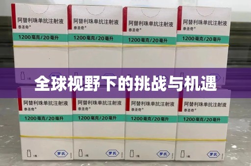 成都全球视野下的挑战与机遇