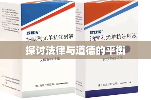 成都探讨法律与道德的平衡